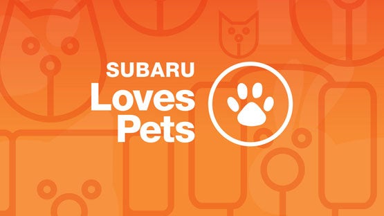 Doral Subaru in Doral FL